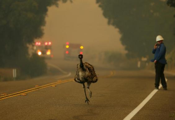 reuters-mike-blake