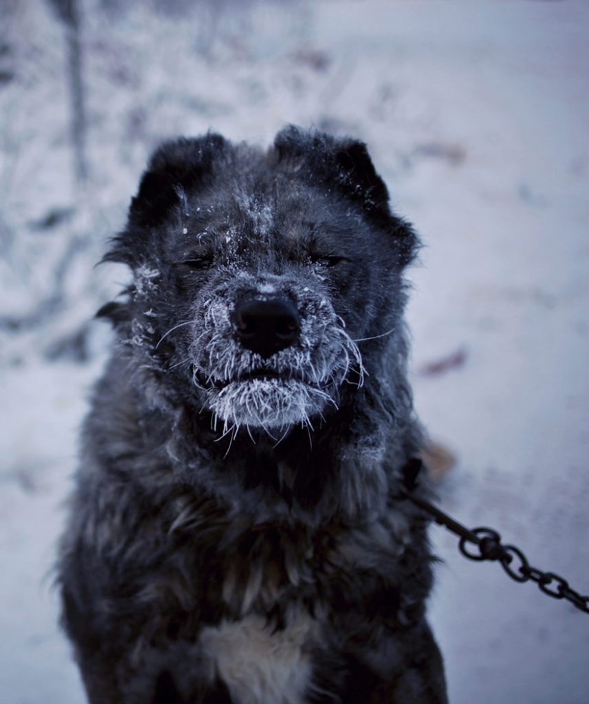 coldest-village-oymyakon-russia-amos-chaple-24