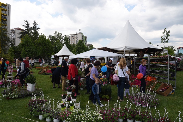 Cetvrt Skopski cveten festival (8)