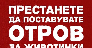 Мирен протест во недела против масовното труење на бездомните животни во Охрид