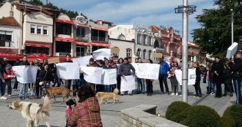 Охридските активисти протестираа против масовното труење бездомни животни