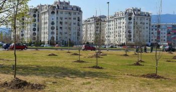 Општина Аеродром: Земи шише вода и подари му живот на најблиското дрвце
