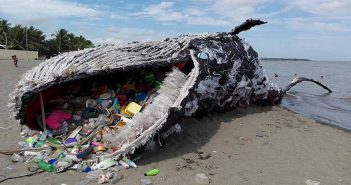 Уште еден кит умре од загадувањето, проголтал 30 килограми пластика