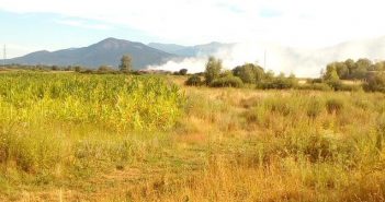 Граѓанската иницијатива „Доста“ бара решенија за дивата струшка депонија