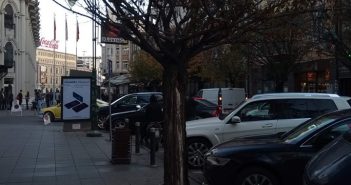 Отстранети јапонските цреши од „Максим Горки“, ќе се менуваат со нови садници
