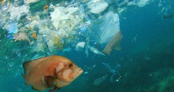 14 милиони тони пластика лежи на морското дно, предупредуваат научниците
