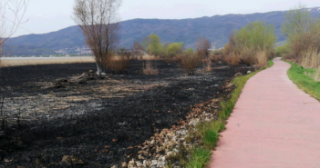 Опожарени трски и вегетација во должина од околу 450 метри во Струшко, од ДИЖС најавуваат кривична пријава