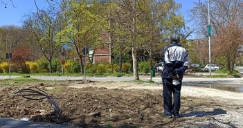 Сеча на дрвја на „Васко Карангелески“ во скопски Аеродром – граѓани негодуваат