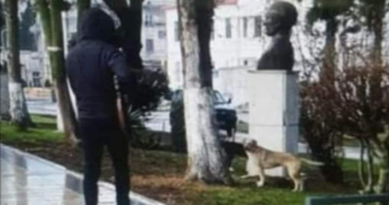 Активистите за заштита на животните утре пред Влада ќе протестираат против убивање и мачење на бездомните кучиња