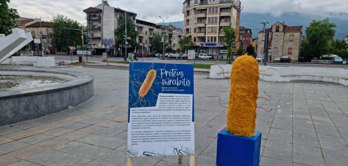 [Фото] Две скулптури на бактерии утрово никнаа во Скопје – потсетуваат на недостатокот јавни тоалети