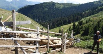 Млади се обучуваа за да останат да живеат во рурални средини
