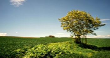 Изложба на фотографии и промоција на фото книгата „Треперење“ на Боро Рудиќ
