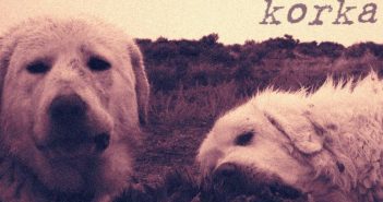 Кочанчаните „Корка“ го објавија своето истоимено издание