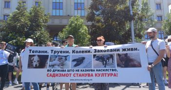 „Во држава што не затвара насилници, садизмот станува култура!“, порачаа граѓаните на вчерашниот протест за кучето Феликс