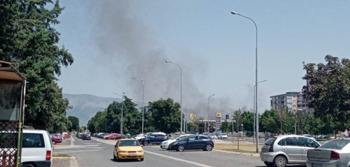 ЗХГ: Со новиот закон за контрола на индустриските емисии пратениците ни легализираа труење