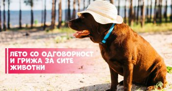 ЈП „Лајка“ со апел и препораки до граѓаните за грижа кон милениците и бездомните животни во летниот период