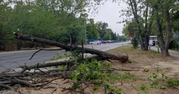 Невреме и пожари вчера попладне во Скопје, паднати над 30 дрвја, уништена и инфраструктура на ЕВН