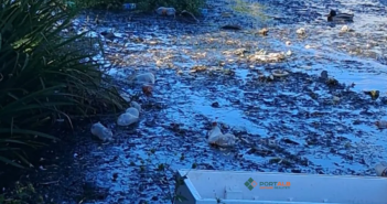 Еколошка катастрофа во Куманово, реката Кумановка е претворена во депонија
