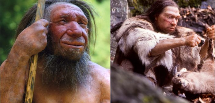 Научниците размислуваат за можноста да се оживеат неандерталците, но предупредуваат на сериозни етички дилеми