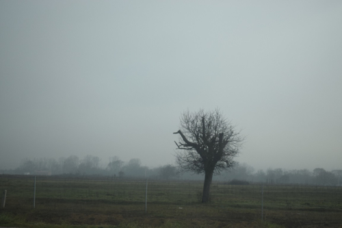 DSC 0005