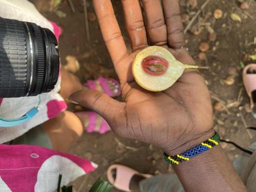 Zanzibar-reportaza-Viktorija-Angelovska-10