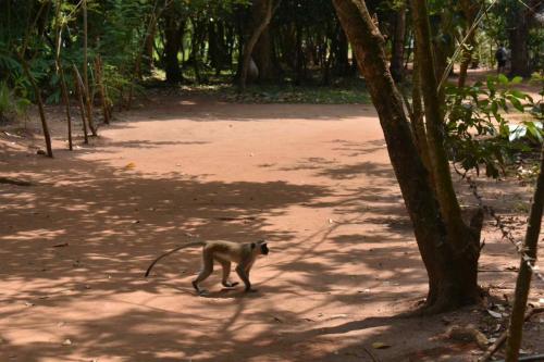 Zanzibar-reportaza-Viktorija-Angelovska-13