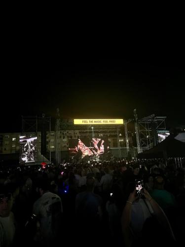 d-fest-2025-7