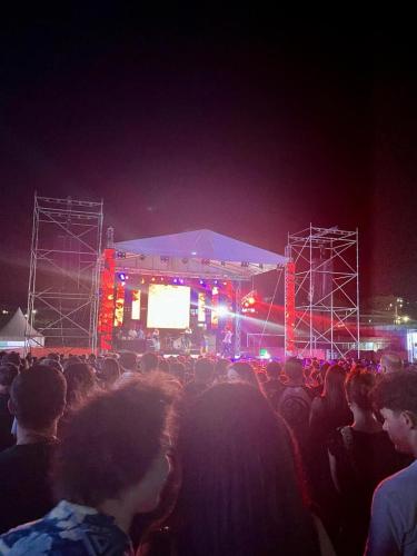 d-fest-2025